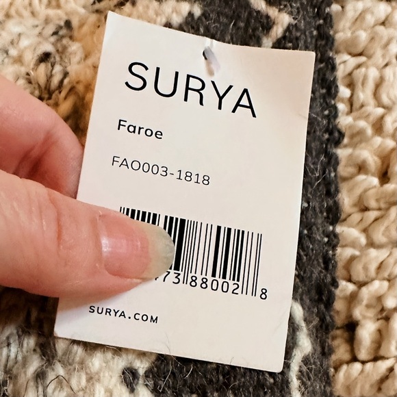 Two Indoor Outdoor Pillows from Wayfair with Cases and Down Pillow inserts - Picture 7 of 10